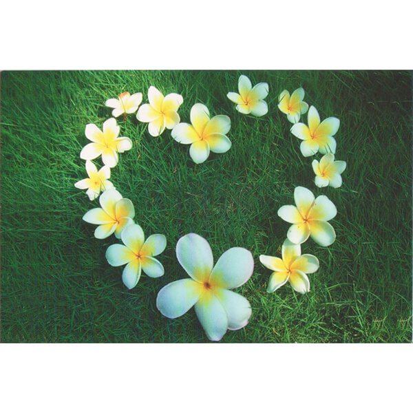 Love Flower 萬用卡片